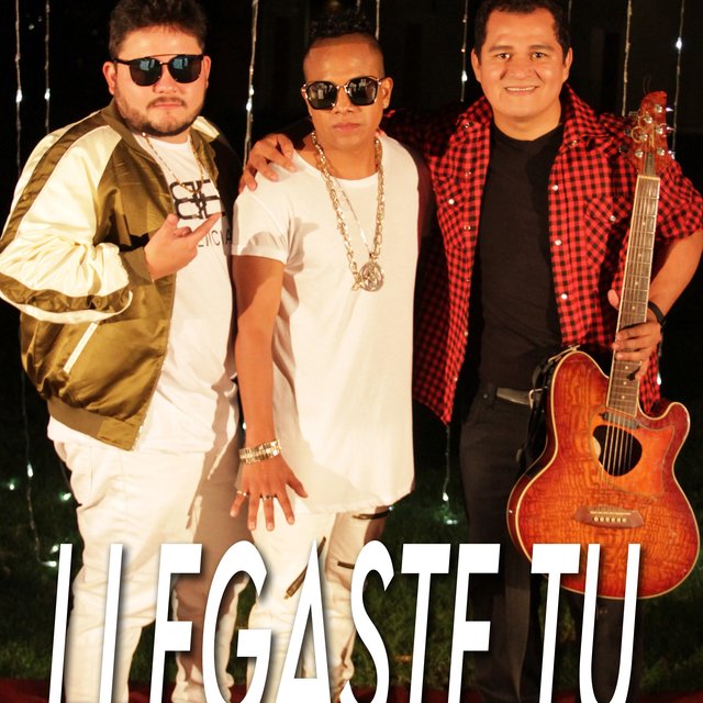 Llegaste Tu