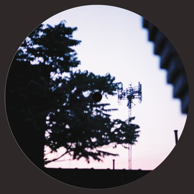 This Record
