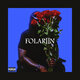 Cover art for album Folarin II by Wale