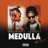 Medulla