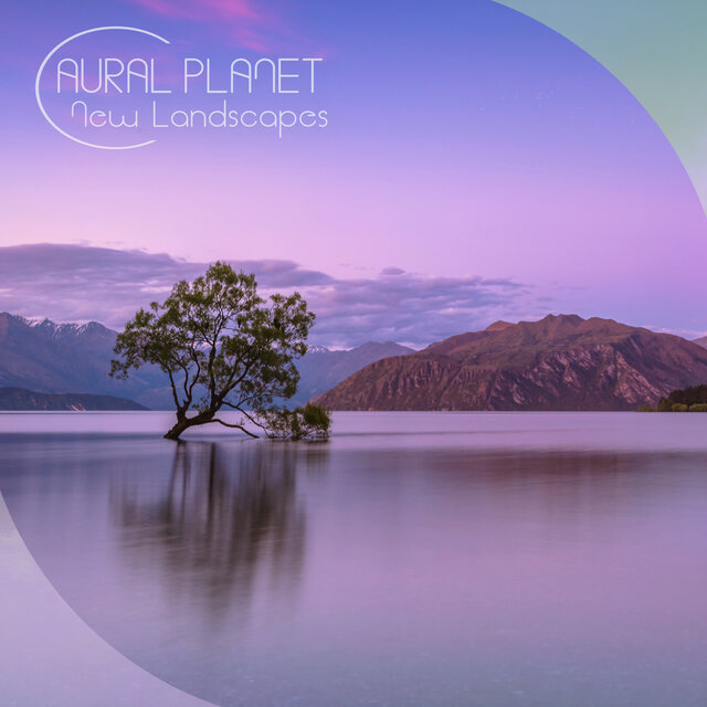New Landscapes