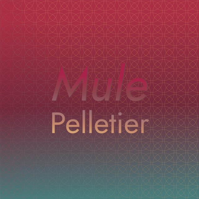 Mule Pelletier