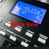 Rara Avis