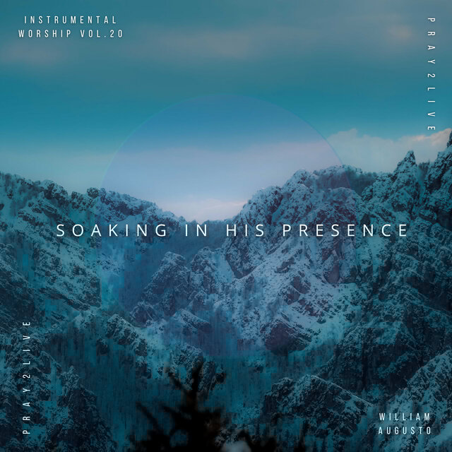 Soaking in His Presence, Vol. 20