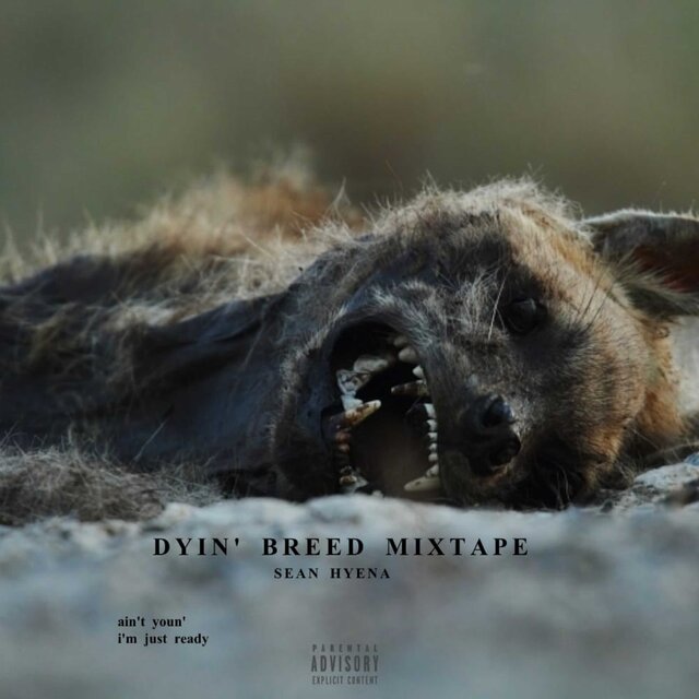 Dyin' Breed Mixtape