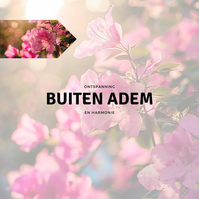 Buiten Adem