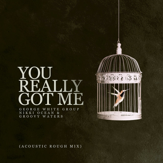 You Really Got Me (Acoustic Rough Mix)