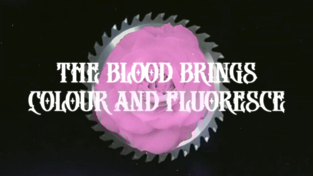 The Blood Brings Colour and Fluoresce