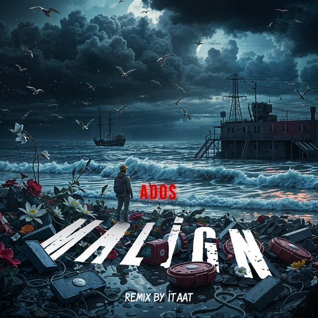 Malign (Remix)