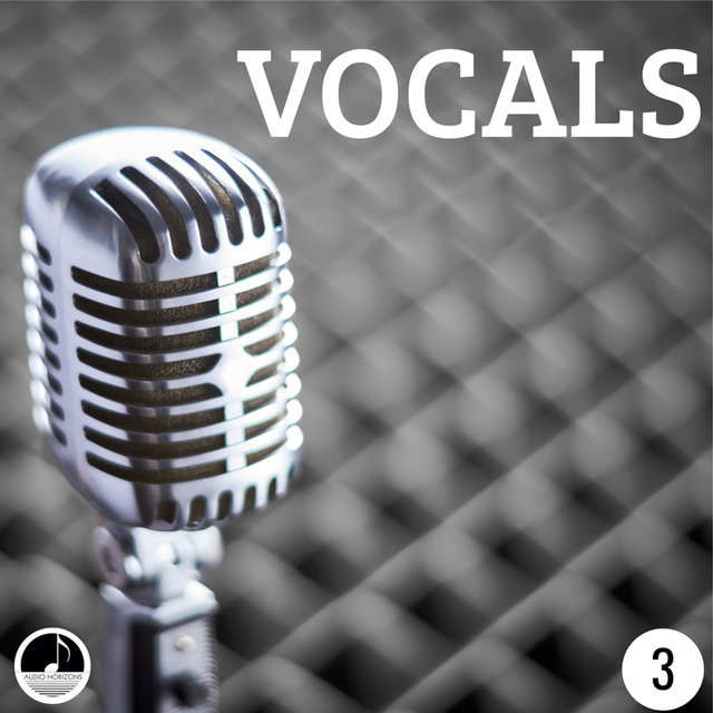 Vocals 03