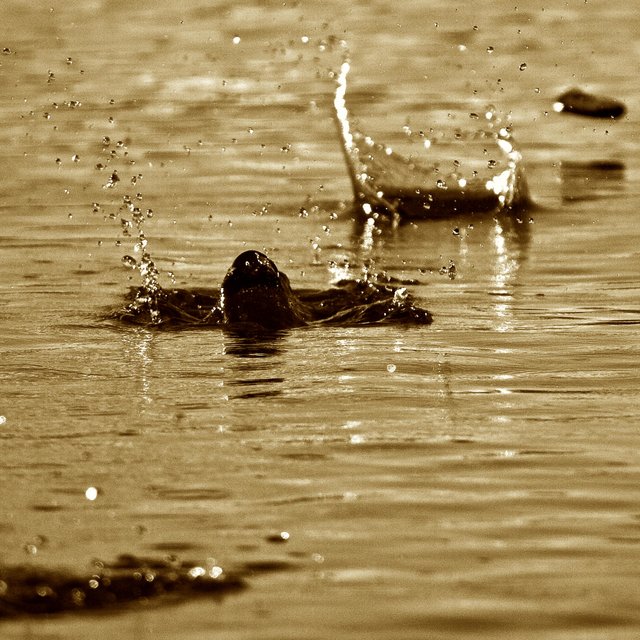 Skipping Stones I & II