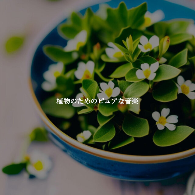 植物のためのピュアな音楽