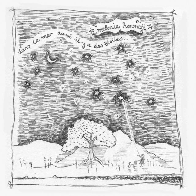 dans la mer aussi il y a des étoiles 