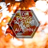 The Same Kind (feat. Benjamin Edman)