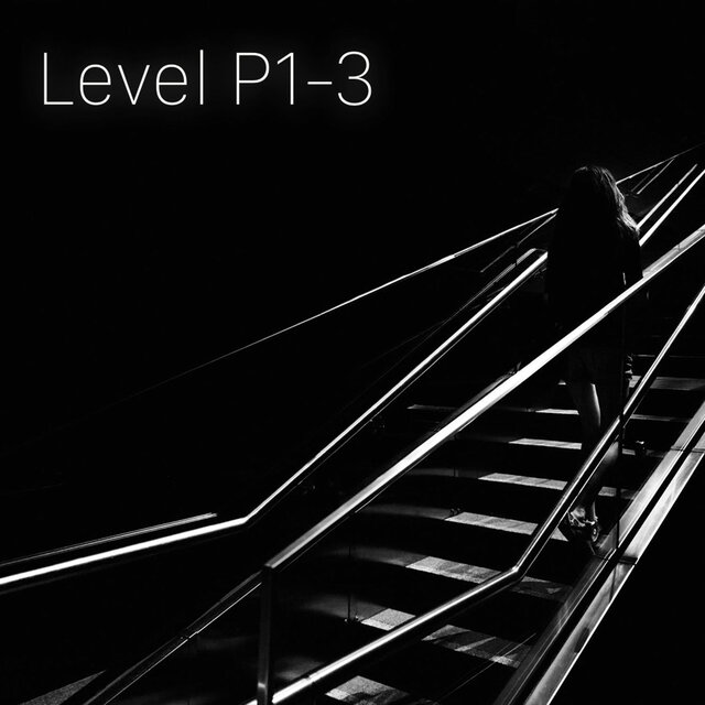 Level P1 Three