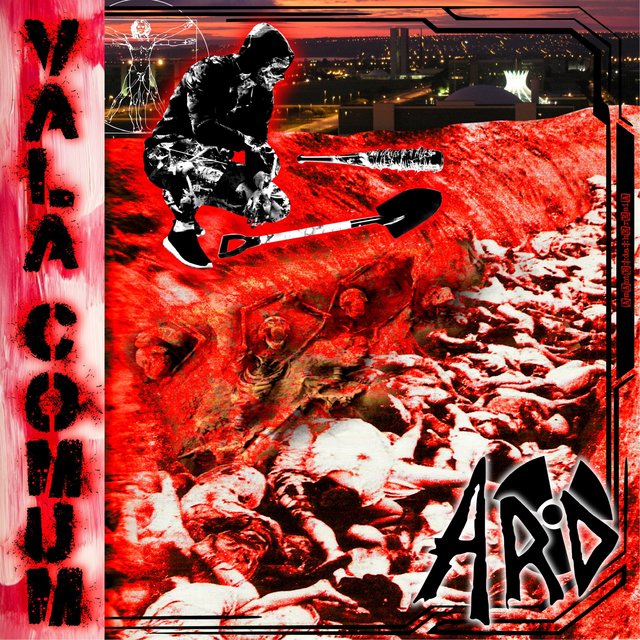 Vala Comum