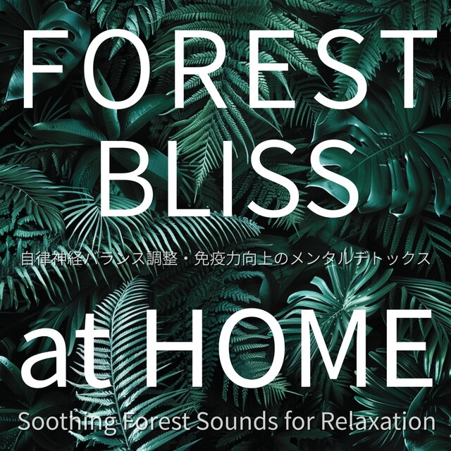 FOREST BLISS at HOME ~ Soothing Forest Sounds for Relaxation