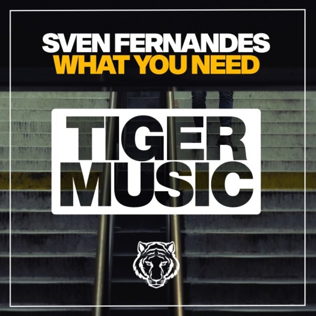 What You Need