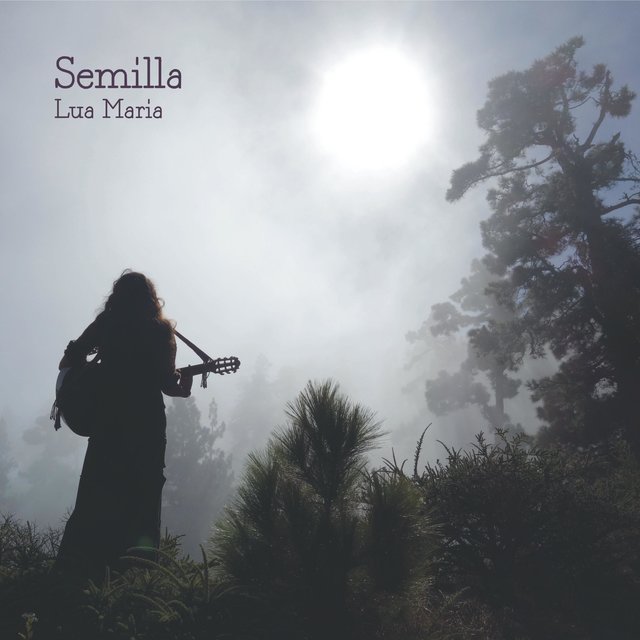 Semilla