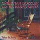 Cover art for album Take it Easy by Christian Dozzler and the Blues Wave