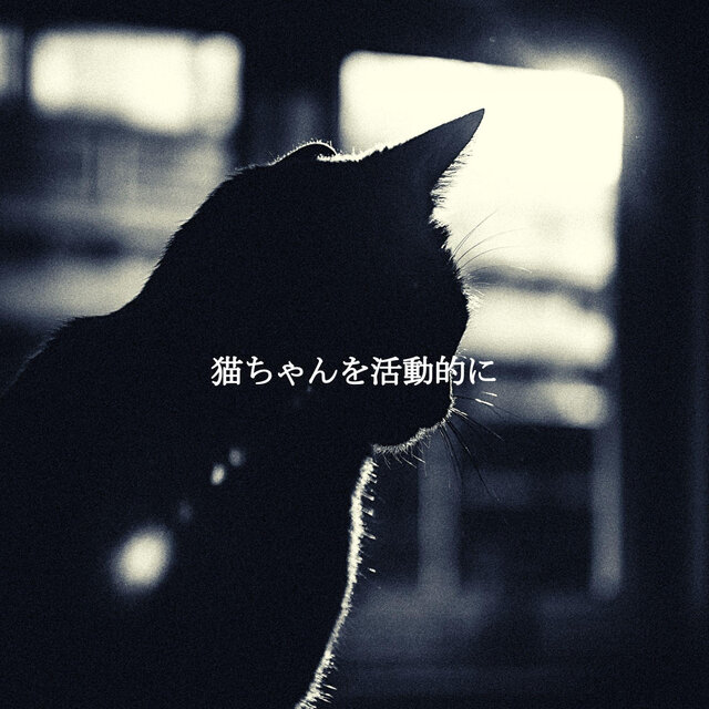 猫ちゃんを活動的に