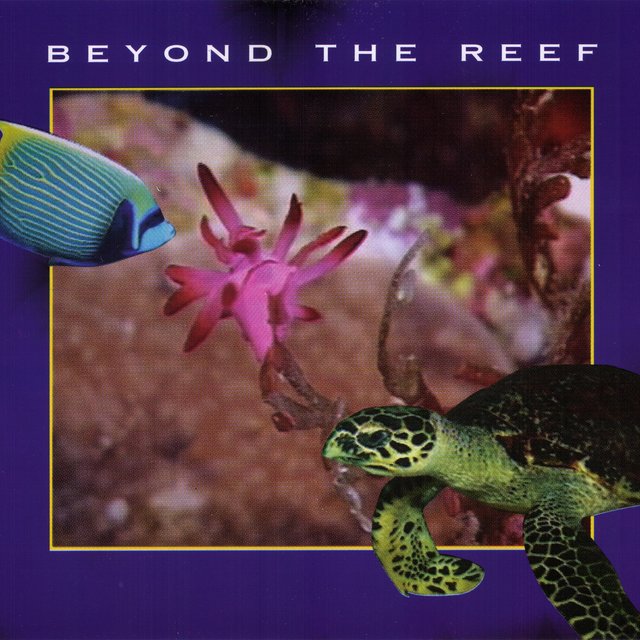 Beyond the Reef