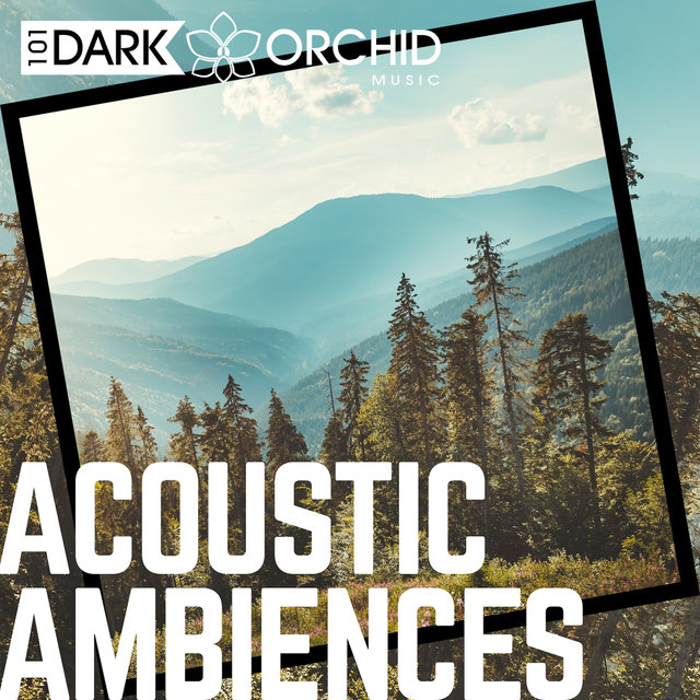 Acoustic Ambiences