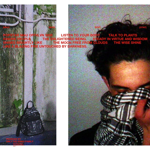 Popstar (feat. 5005 & offvlvn)