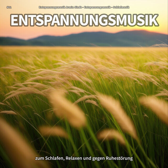 #01 Entspannungsmusik zum Schlafen, Relaxen und gegen Ruhestörung