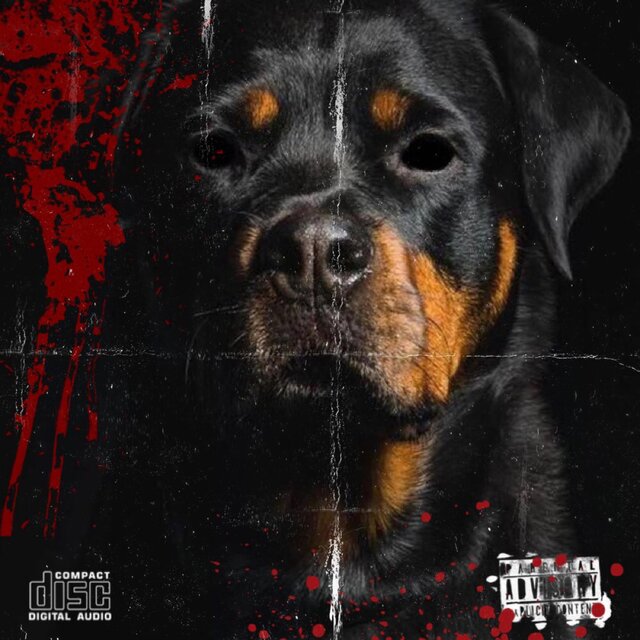 Dawg Eat Dawg World