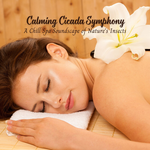 Calming Cicada Symphony: A Chill Spa Soundscape of Nature's Insects