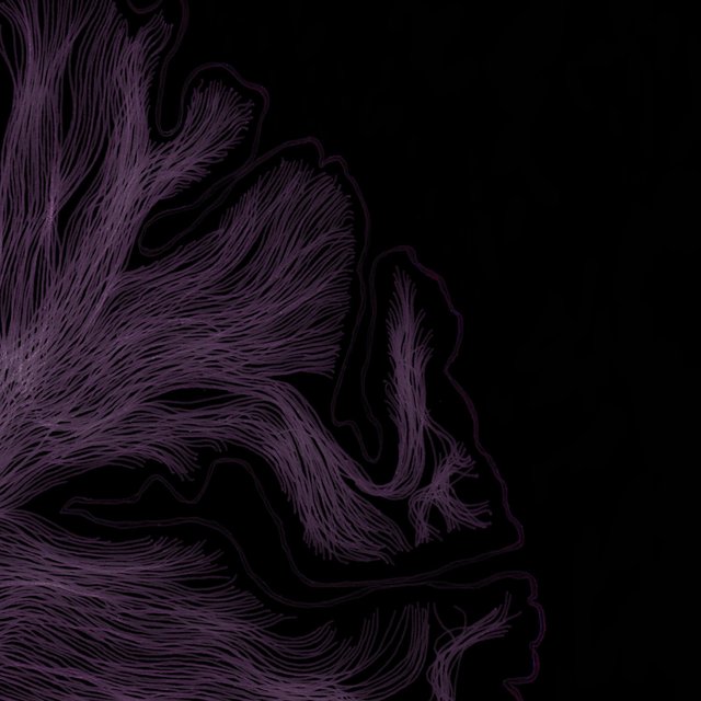 Brain