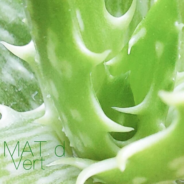 Vert