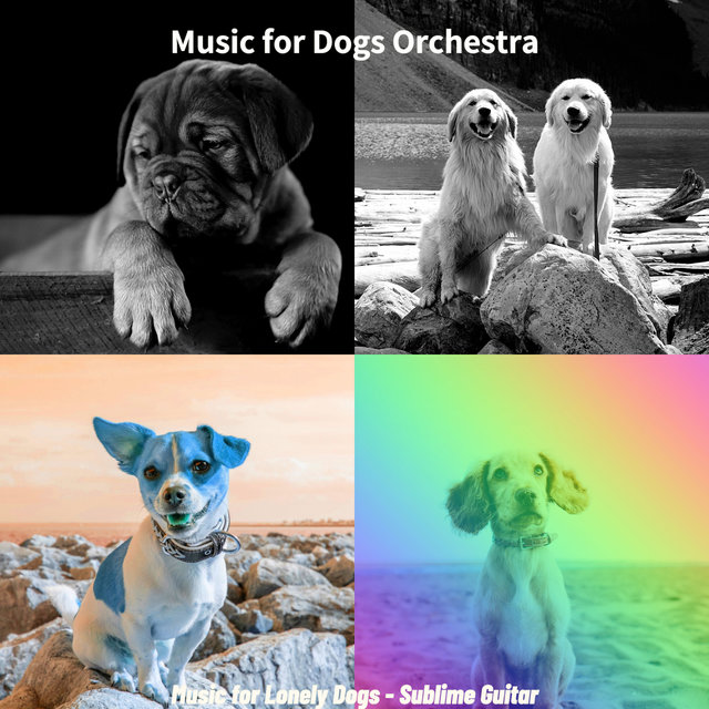 Music for Lonely Dogs - Sublime Guitar