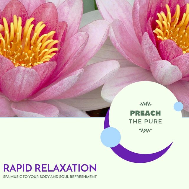 Rapid Relaxation - Spa Music To Your Body And Soul Refreshment