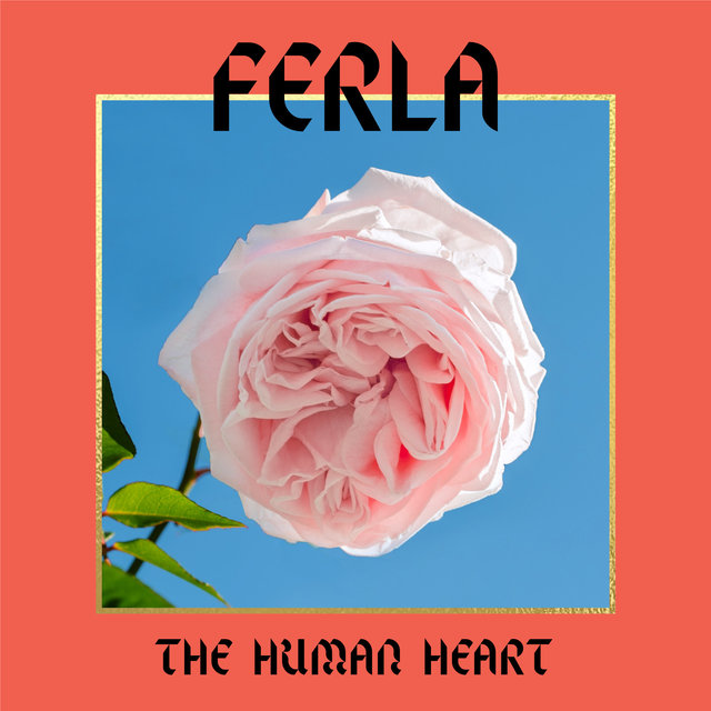 The Human Heart