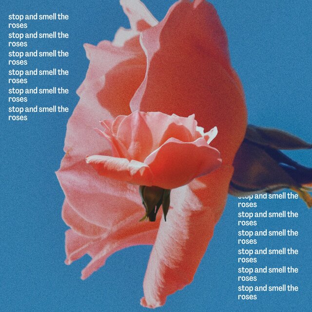 stop and smell the roses