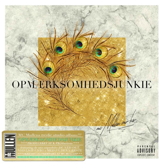 Opmærksomhedsjunkie