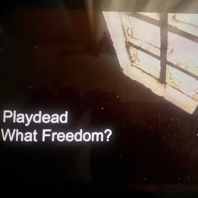 What Freedom ? (Demo)