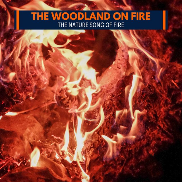 The Woodland on Fire - The Nature Song of Fire