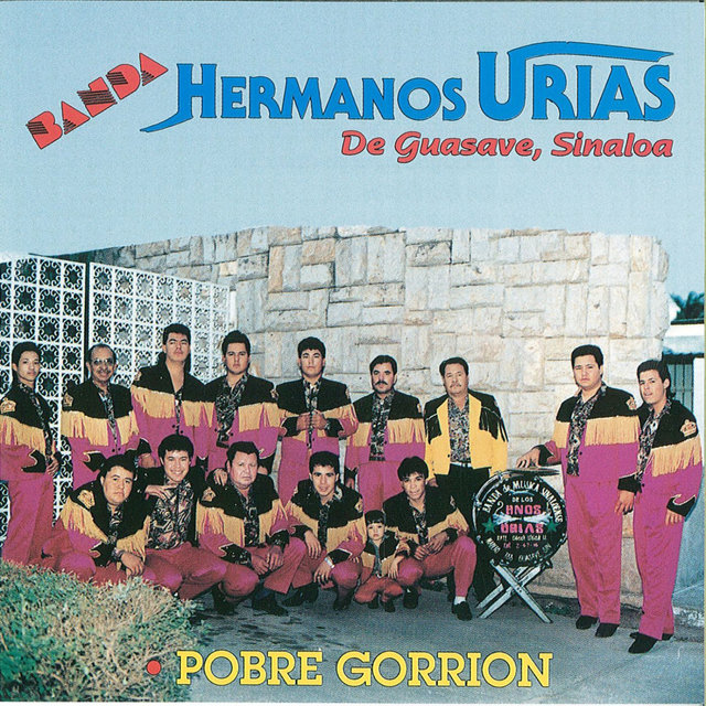 Pobre Gorrion
