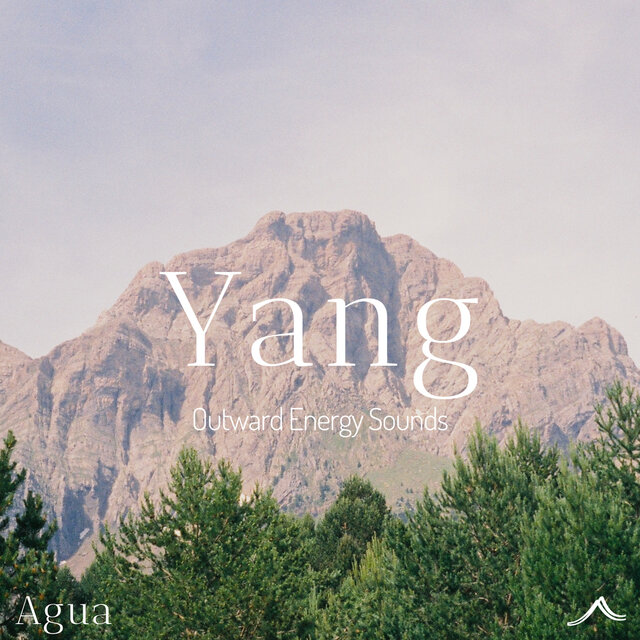 Yang
