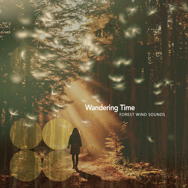 Wandering Time