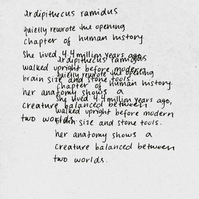 Cover art for album ARDIPITHECUS by WILLOW