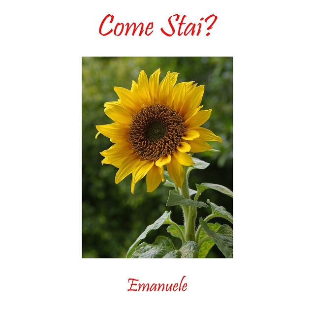 Come Stai?