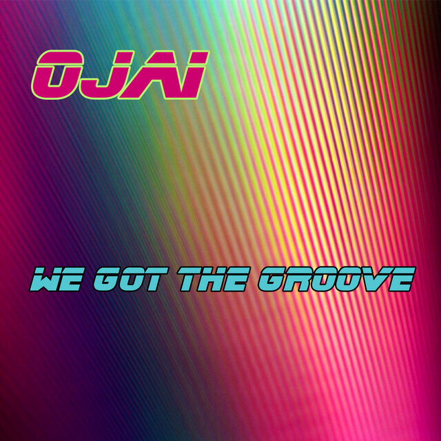 We Got the Groove