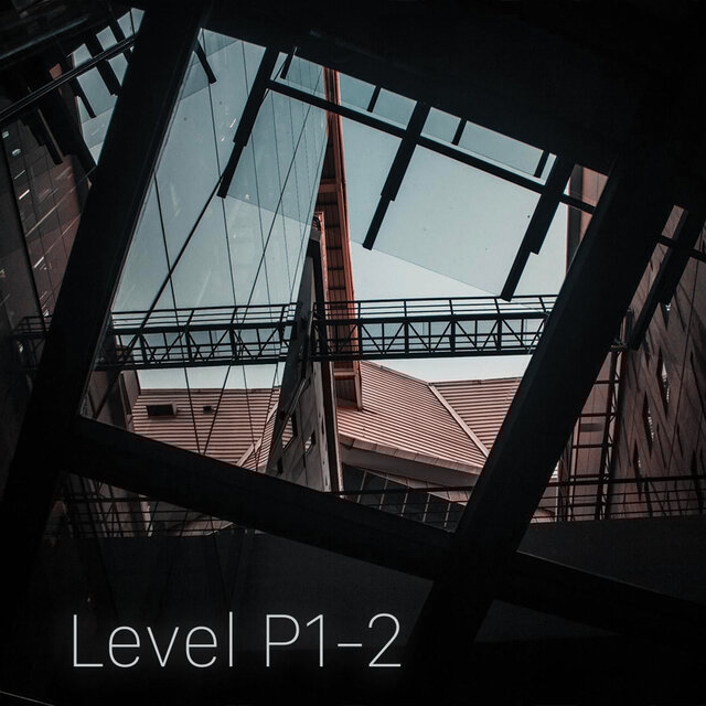 Level P1 Two