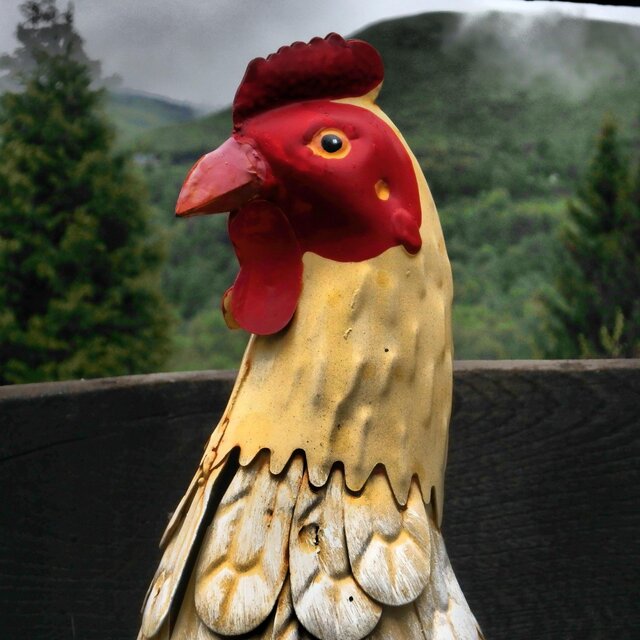 Poupoule