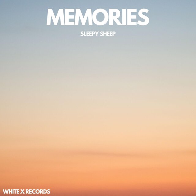 MEMORIES