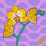 Orchids Growing
